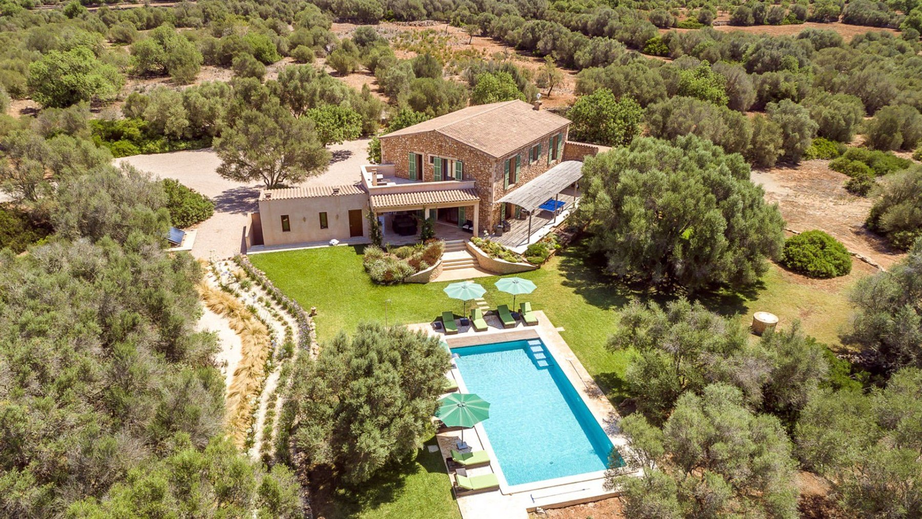 Los Hibiscus from the air, in its olive grove