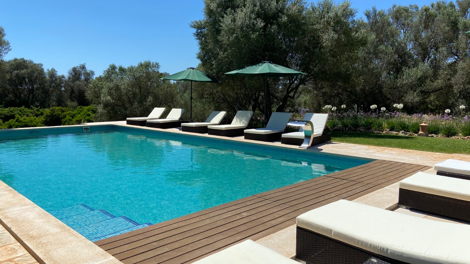 Pool and sun loungers