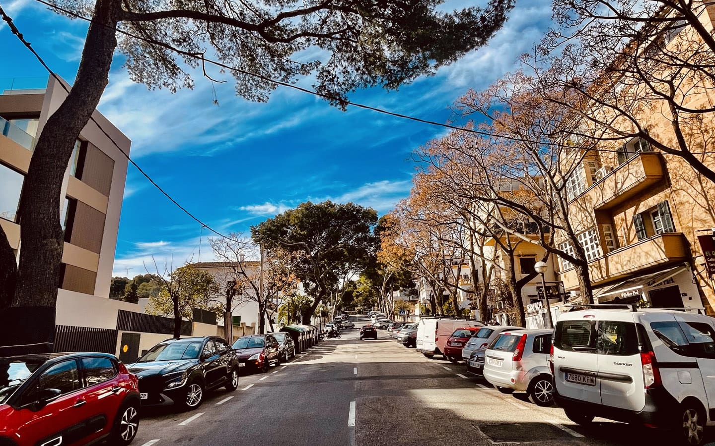 Luxury Apartments in Palma with Bellver Oaks 4 and Palmallorca Luxury Apartments in Palma with Palmallorca