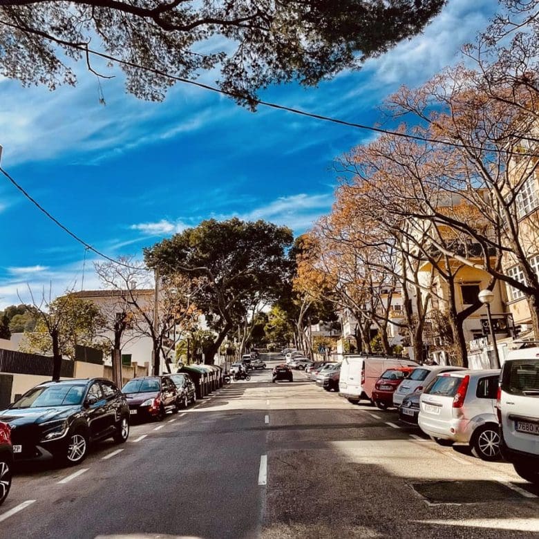 Luxury Apartments in Palma with Bellver Oaks and Palmallorca