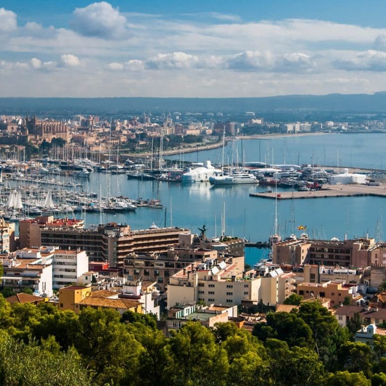 Palma Harbour and city and Luxury Apartments in Palma with Palmallorca