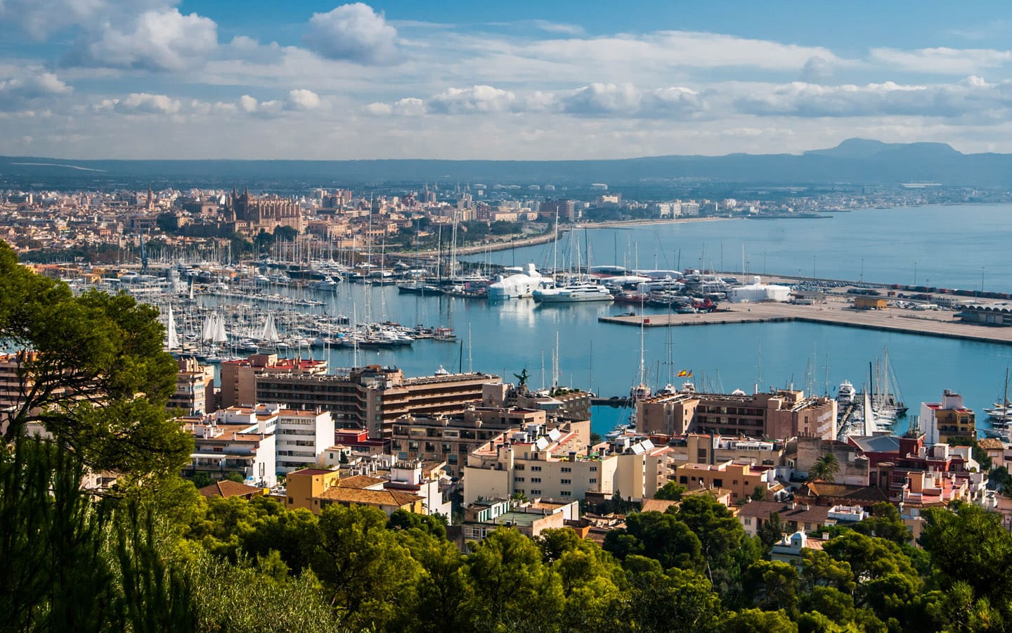 Palma Harbour and city and Luxury Apartments in Palma with Palmallorca Palma Harbour and city and Luxury Apartments in Palma with Palmallorca