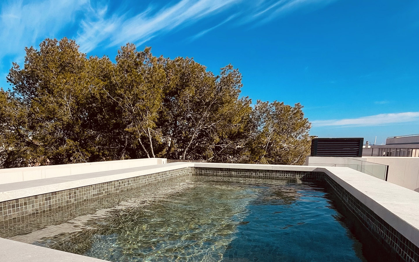 Luxury Apartments in Palma with Bellver Oaks 11 and Palmallorca