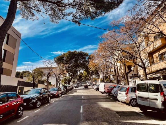 Luxury Apartments in Palma with Bellver Oaks 9 and Palmallorca | Mallorca Homebase