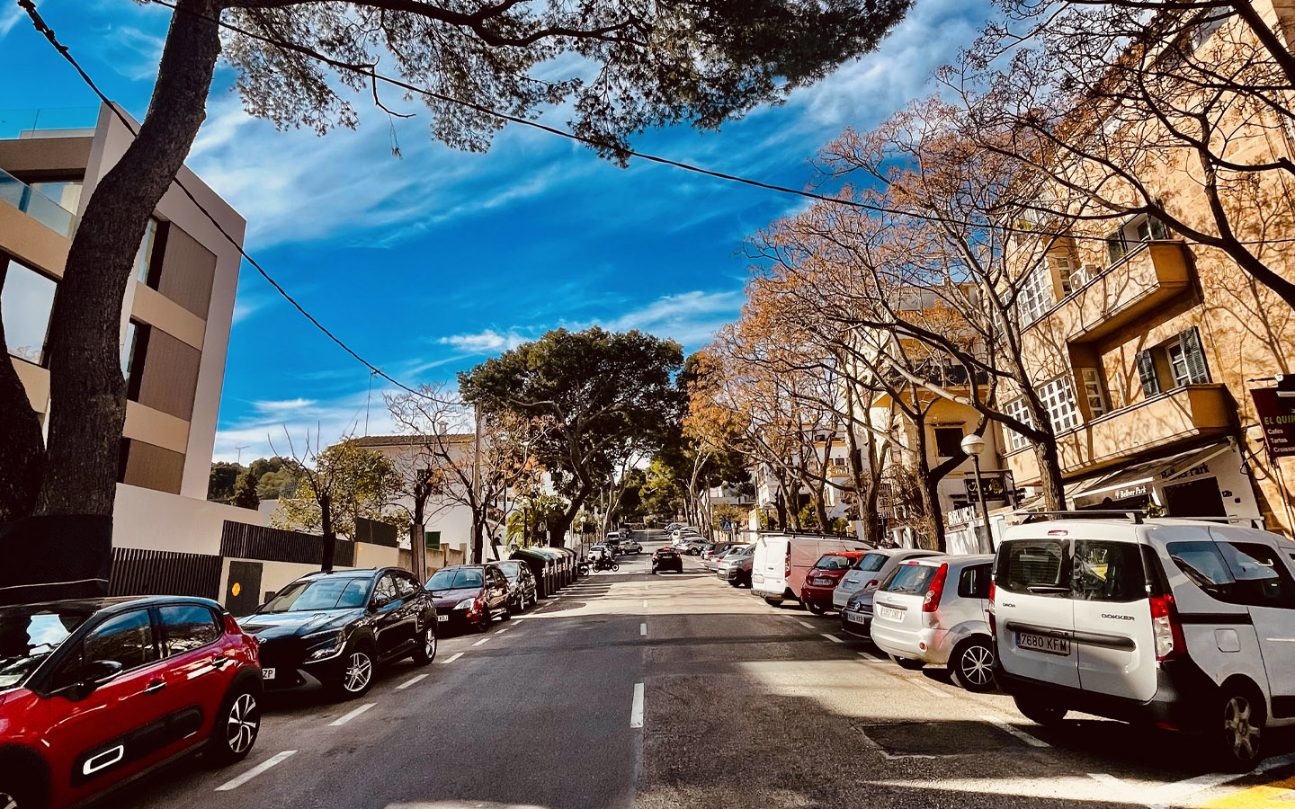 Luxury Apartments in Palma with Bellver Oaks 9 and Palmallorca | Mallorca Homebase