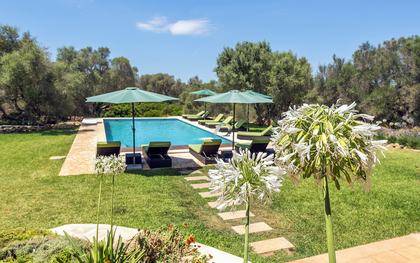 Los Hibiscus Eco Finca Mallorca Homebase 10