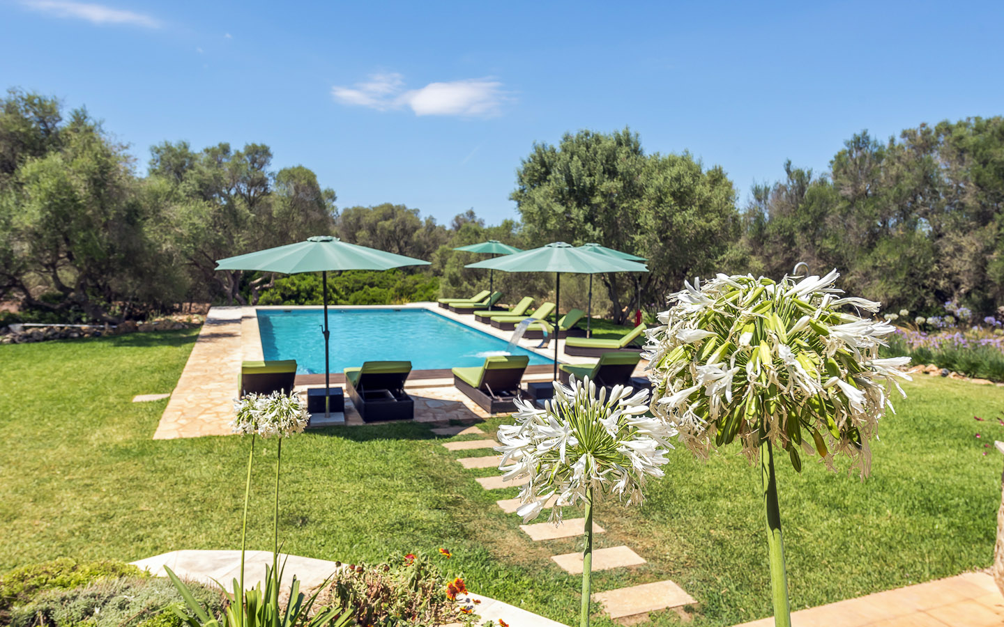 Los Hibiscus Eco Finca Mallorca Homebase 3